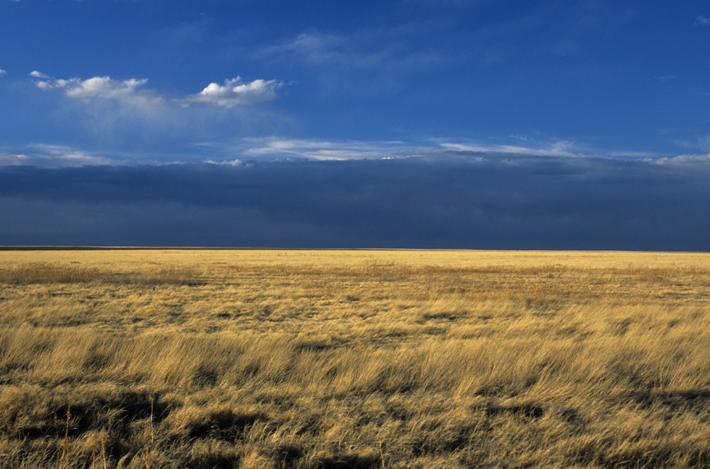 The Comanche National Grassland