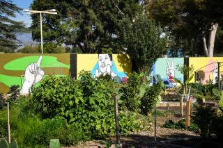 A picture of an urban garden area with a painted fence in the background with different symbols on each section of fence.